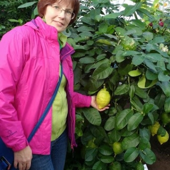 Latvijas Mazpulku projektu forums - 