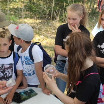 Meža ABC Kuldīgā - 