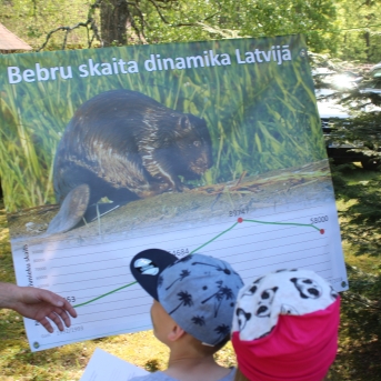 Meža ABC Kuldīgā - 