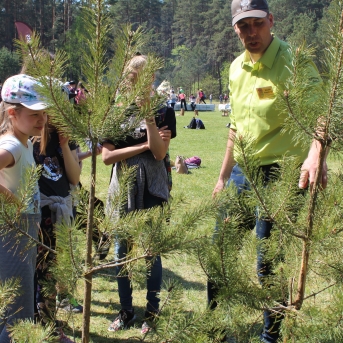 Meža ABC Kuldīgā - 