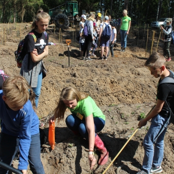 Meža ABC Kuldīgā - 