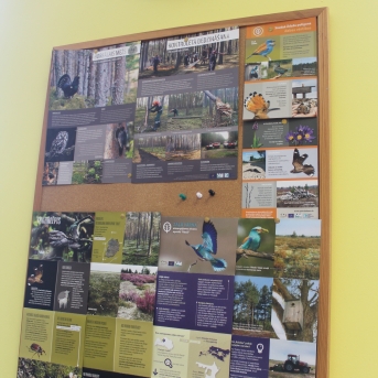 Sējas novada svētki pie Sējas pamatskolas - 