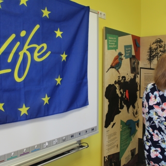 Sējas novada svētki pie Sējas pamatskolas - 