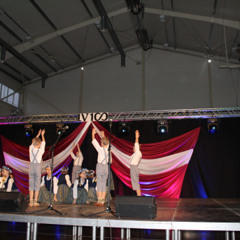 Patriotiskā nedēļa - 