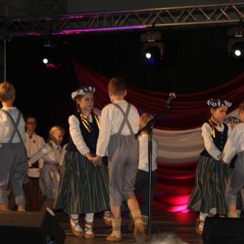 Patriotiskā nedēļa - 