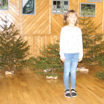 Ziemas dzejoļu konkurss - 