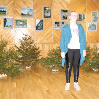 Ziemas dzejoļu konkurss - 