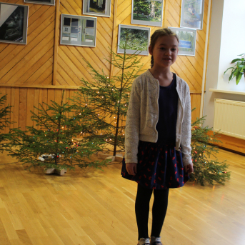 Ziemas dzejoļu konkurss - 