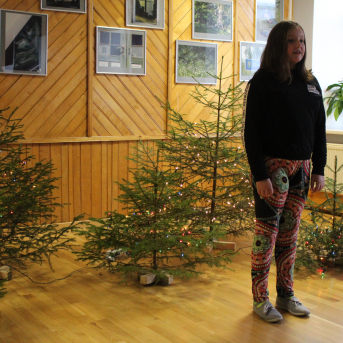 Ziemas dzejoļu konkurss - 