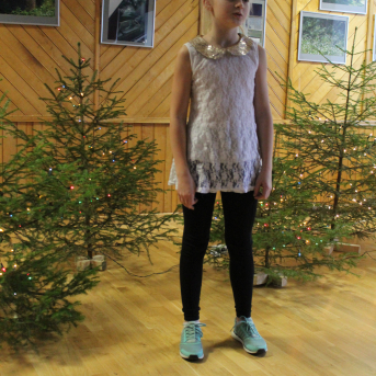 Ziemas dzejoļu konkurss - 