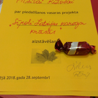 Mazpulcēnu vasaras projekti 2018 - 