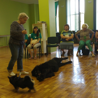 Vasaras nometne Visu daru es ar prieku Ļaudonā - 