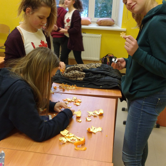 Ekskursija Robežnieku fermā, ķimeņu siera gatavošana un Ziemassvētku zeķīšu darināšana - 