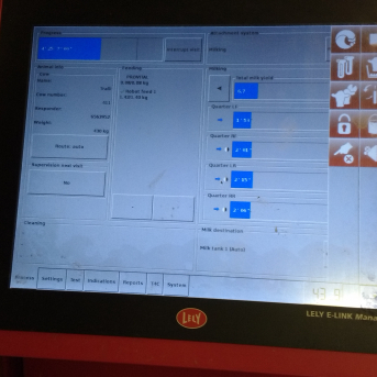 Ekskursija Robežnieku fermā, ķimeņu siera gatavošana un Ziemassvētku zeķīšu darināšana - 