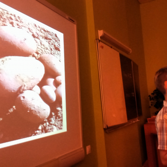 Mazpulcēnu vasaras projekti 2018 - 