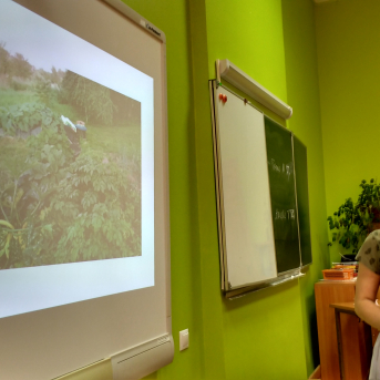 Mazpulcēnu vasaras projekti 2018 - 