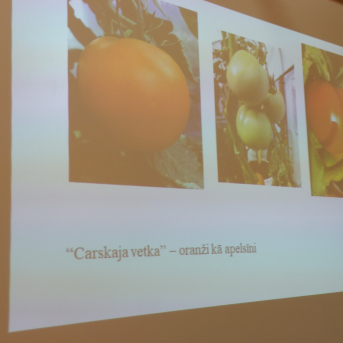 Mazpulcēnu vasaras projekti 2018 - 