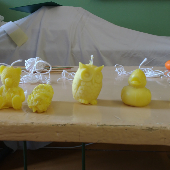 Vasaras nometne Visu daru es ar prieku Ļaudonā - 