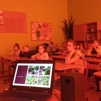 Mazpulcēnu vasaras projekti 2018 - 