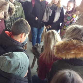 Karjeras izglītības ekskursija 7.,8.klasei uz Daibes poligonu un Mucu muzeju. - 