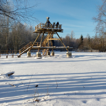 Karjeras izglītības ekskursija 7.,8.klasei uz Daibes poligonu un Mucu muzeju. - 