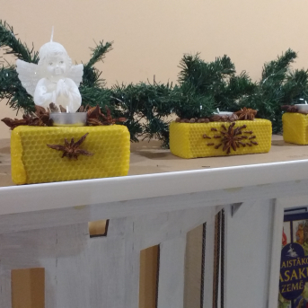 Gaidot Sveču dienu un Cūkas gadu - 