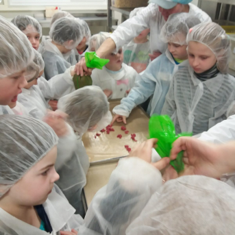 Karjeras izglītības ekskursija 1.,2.klasei uz Rāmkalniem un Siguldu - 