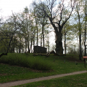 Aprīlis talkas mēnesis - 