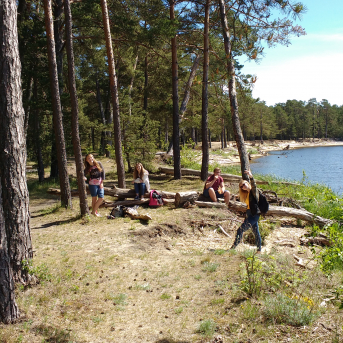 Pārgājiens Lilaste- Carnikava - 