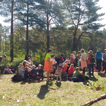 Pārgājiens Lilaste- Carnikava - 