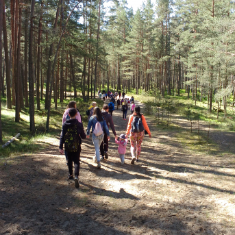 Pārgājiens Lilaste- Carnikava - 