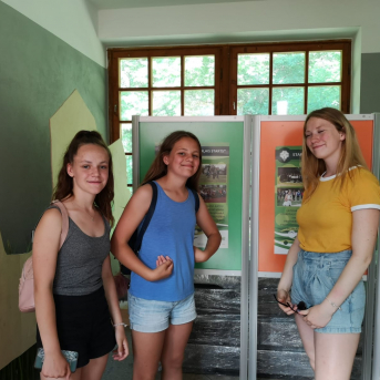 Talka Saulesdārzā - 