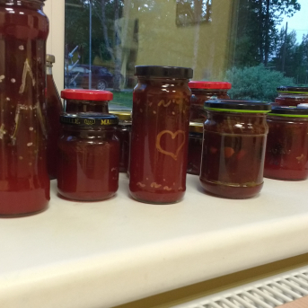 Sadraudzības projekts ar Mālpils mazpulku. - 