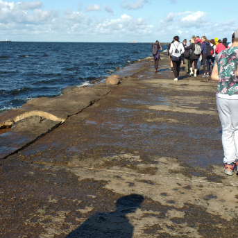 Pārgājiens Mangaļsala - Vecāķi - 