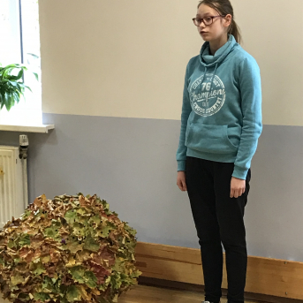 Rudens dzejas dienas 2019 - 