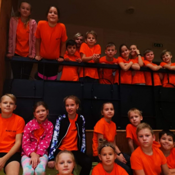 Pierīgas novadu sporta spēles 