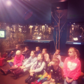 Abonementa koncertlekcija 1. un 2. klasei - 