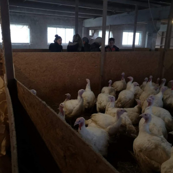 KARJERAS IZGLĪTĪBAS brauciens uz Vidzemes tehnoloģiju un Dizaina tehnikumu un SIA Tītarkalns - 