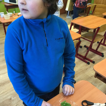 Radošās darbnīcas Sējas skolā - 