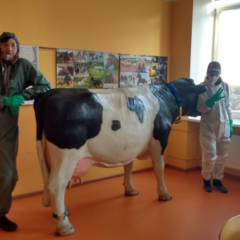 Vidzemes Tehnoloģiju un dizaina tehnikuma iepazīšana karjeras izglītības ietvaros - 