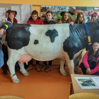 Vidzemes Tehnoloģiju un dizaina tehnikuma iepazīšana karjeras izglītības ietvaros - 