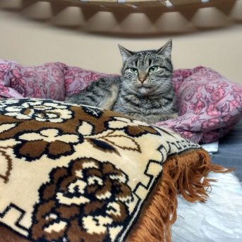 Mācību ekskursija 7.-9.klašu skolēniem - 