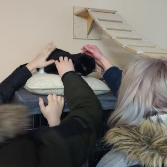 Mācību ekskursija 7.-9.klašu skolēniem - 