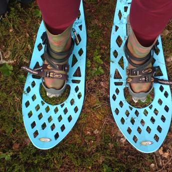 Purva pārgājiens - 