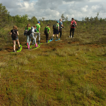 Purva pārgājiens - 