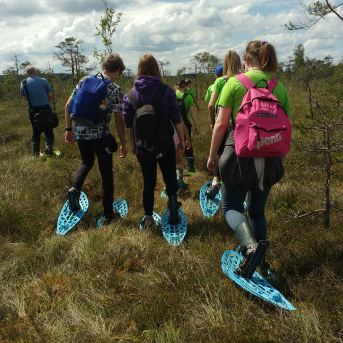 Purva pārgājiens - 