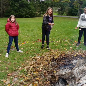 Rudens Saulgrieži Sējas skolā - 