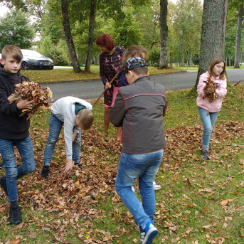 Rudens Saulgrieži Sējas skolā - 