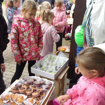 Rudens Saulgrieži Sējas skolā - 