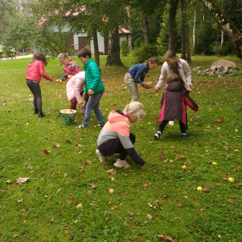 Rudens Saulgrieži Sējas skolā - 